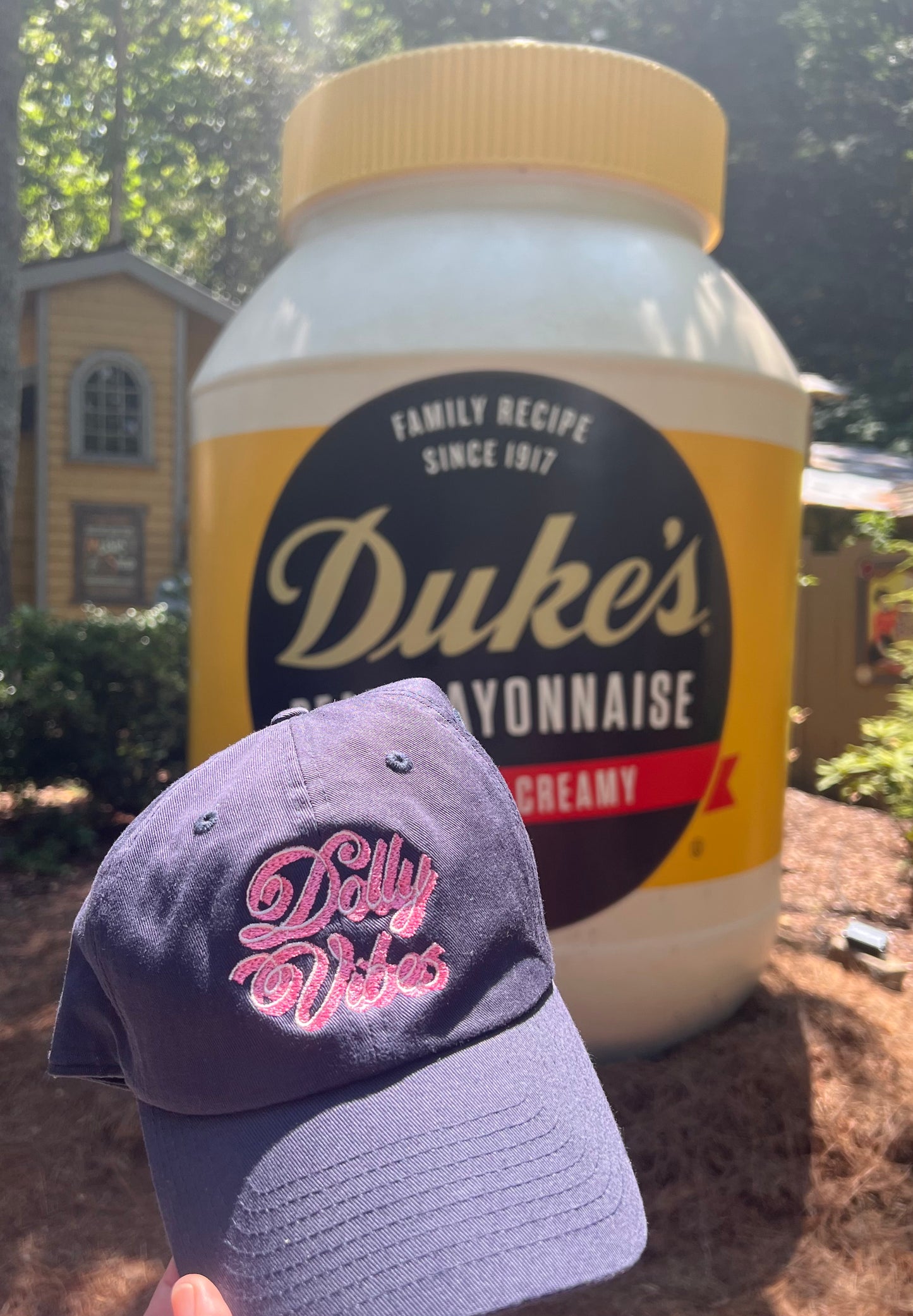 Dolly Vibes Baseball Hat